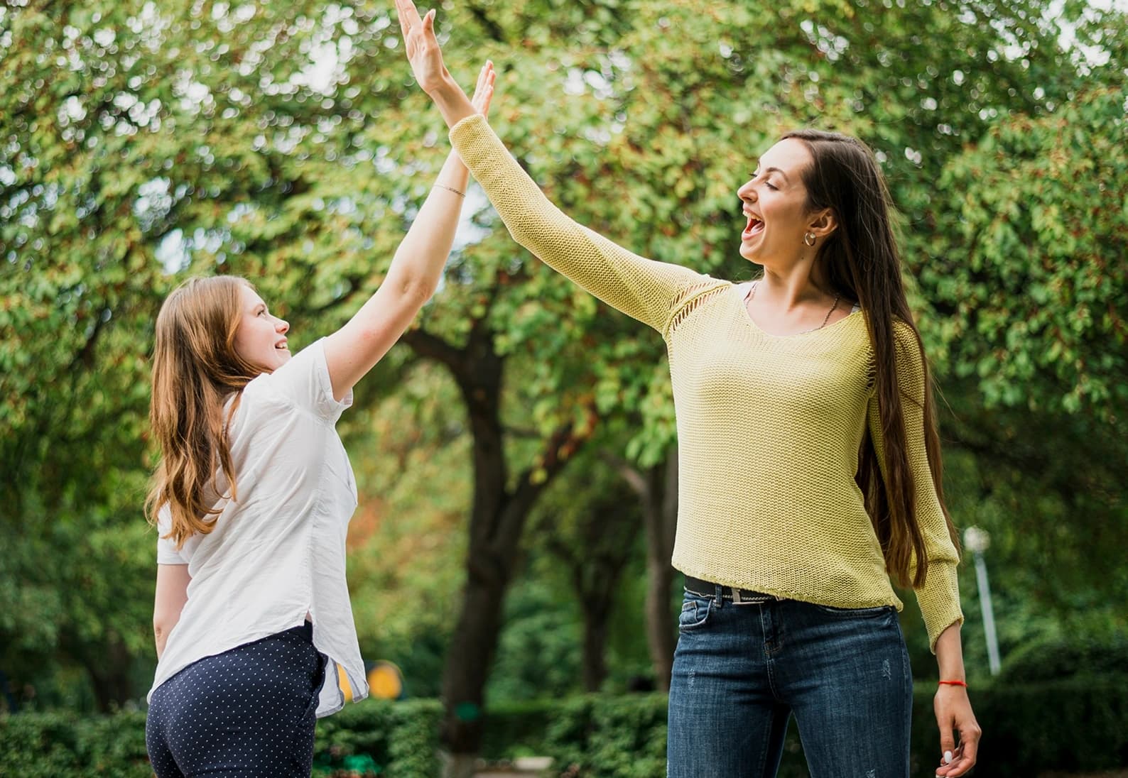 Companion & Wellbeing